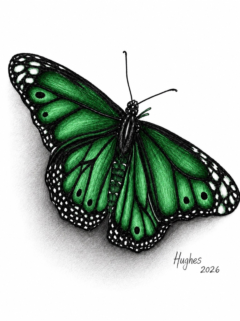 Green Butterfly Wall Art Print | 8”x10” | Framed | Graphite Pencil Art | Signed